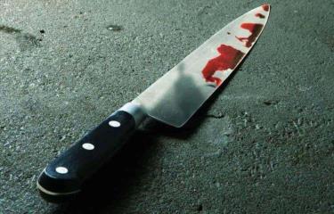 imagenes de la noticia